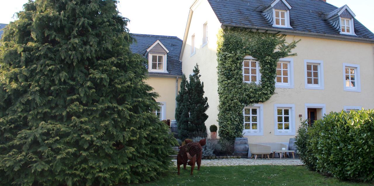 Wein- & Tafelhaus Hotel Trittenheim Kültér fotó
